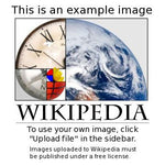 Load image into Gallery viewer, Bughunt files directories product update
